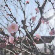 ヒメ日記 2026/02/18 22:16 投稿 吉沢　るな プルプル京都性感エステ　はんなり