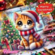 ヒメ日記 2024/12/24 13:44 投稿 道端陽葵(みちばたひまり) 五十路マダムエクスプレス厚木店(カサブランカグループ)