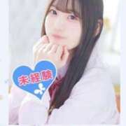 ヒメ日記 2025/04/11 00:29 投稿 牧野もこ 池袋パラダイス