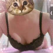 ヒメ日記 2025/05/29 13:05 投稿 原田しほ HANABI(福富町)