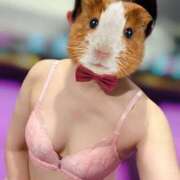 ヒメ日記 2025/06/18 08:04 投稿 原田しほ HANABI(福富町)