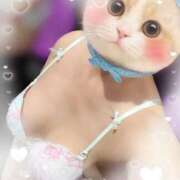 ヒメ日記 2025/07/16 09:45 投稿 原田しほ HANABI(福富町)