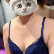 ヒメ日記 2025/07/17 08:07 投稿 原田しほ HANABI(福富町)