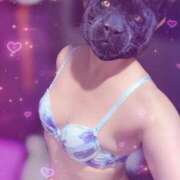 ヒメ日記 2025/08/13 08:03 投稿 原田しほ HANABI(福富町)