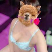 ヒメ日記 2025/12/07 08:06 投稿 原田しほ HANABI(福富町)