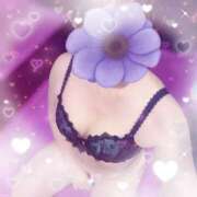 ヒメ日記 2026/03/08 09:40 投稿 原田しほ HANABI(福富町)