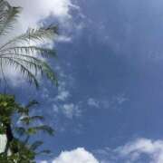 ヒメ日記 2025/07/28 09:00 投稿 しほ 奥鉄オクテツ東京店（デリヘル市場）