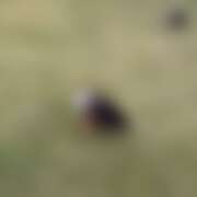 ヒメ日記 2026/02/26 08:41 投稿 ゆり ビデオdeはんど 町田校