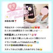 ヒメ日記 2025/05/05 01:41 投稿 ねね MIKADO