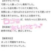 ヒメ日記 2025/07/24 21:21 投稿 ねね MIKADO