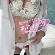 ヒメ日記 2025/11/27 02:51 投稿 ねね MIKADO