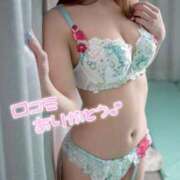 ヒメ日記 2026/02/16 20:25 投稿 ねね MIKADO