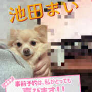 ヒメ日記 2025/02/18 14:00 投稿 池田まい ぽっちゃりレボリューション