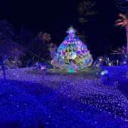 ヒメ日記 2025/03/01 15:00 投稿 池田まい ぽっちゃりレボリューション