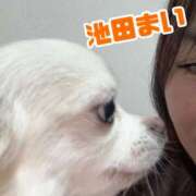 ヒメ日記 2025/03/12 23:45 投稿 池田まい ぽっちゃりレボリューション