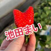 ヒメ日記 2025/03/13 19:19 投稿 池田まい ぽっちゃりレボリューション