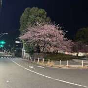 ヒメ日記 2025/03/22 22:30 投稿 池田まい ぽっちゃりレボリューション