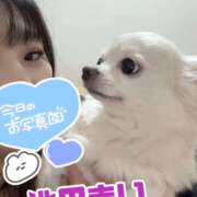 ヒメ日記 2025/04/04 19:12 投稿 池田まい ぽっちゃりレボリューション