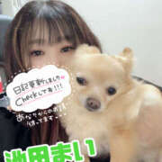 ヒメ日記 2025/04/08 23:42 投稿 池田まい ぽっちゃりレボリューション