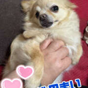 ヒメ日記 2025/04/09 23:42 投稿 池田まい ぽっちゃりレボリューション