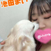 ヒメ日記 2025/04/10 21:36 投稿 池田まい ぽっちゃりレボリューション