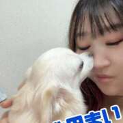 ヒメ日記 2025/04/14 22:25 投稿 池田まい ぽっちゃりレボリューション