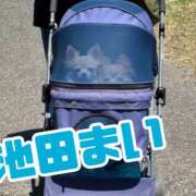 ヒメ日記 2025/04/17 23:11 投稿 池田まい ぽっちゃりレボリューション