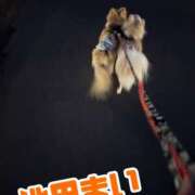 ヒメ日記 2025/04/19 23:53 投稿 池田まい ぽっちゃりレボリューション