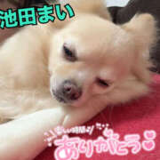 ヒメ日記 2025/05/06 21:18 投稿 池田まい ぽっちゃりレボリューション