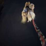 ヒメ日記 2025/05/11 23:53 投稿 池田まい ぽっちゃりレボリューション