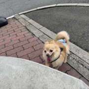 ヒメ日記 2025/09/14 16:00 投稿 池田まい ぽっちゃりレボリューション