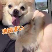 ヒメ日記 2025/09/27 15:03 投稿 池田まい ぽっちゃりレボリューション