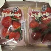 ヒメ日記 2025/12/31 16:06 投稿 池田まい ぽっちゃりレボリューション