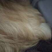 ヒメ日記 2026/01/12 21:35 投稿 池田まい ぽっちゃりレボリューション