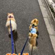 ヒメ日記 2026/04/09 14:18 投稿 池田まい ぽっちゃりレボリューション