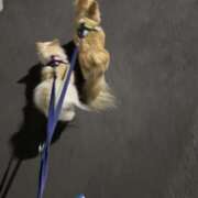 ヒメ日記 2026/04/22 12:51 投稿 池田まい ぽっちゃりレボリューション