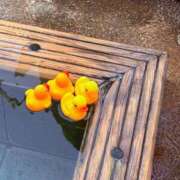 ヒメ日記 2025/04/02 07:25 投稿 はるみ 激情団地妻