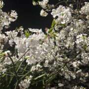 ヒメ日記 2025/04/09 18:22 投稿 穂乃果（ほのか） ビッグバード