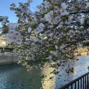 ヒメ日記 2025/04/22 21:05 投稿 穂乃果（ほのか） ビッグバード