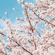 ヒメ日記 2025/04/10 20:44 投稿 ゆう Second Love（セカンドラブ）