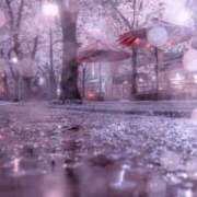 ヒメ日記 2025/04/13 17:42 投稿 ゆう Second Love（セカンドラブ）