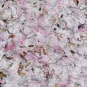 ゆう 🌸 Second Love（セカンドラブ）