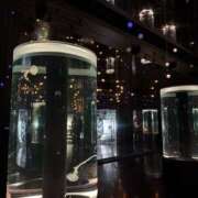 ヒメ日記 2025/10/22 18:48 投稿 あい NEW GENERATION