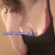 ヒメ日記 2025/01/23 13:41 投稿 りこ 川越おかあさん