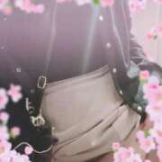 ヒメ日記 2025/03/27 12:11 投稿 りこ 大宮おかあさん