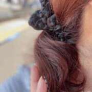 ヒメ日記 2025/08/17 15:06 投稿 りこ 大宮おかあさん