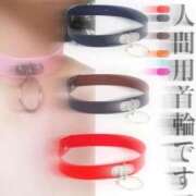 ヒメ日記 2025/12/26 13:06 投稿 りこ 大宮おかあさん