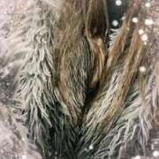 ヒメ日記 2024/12/21 12:28 投稿 むつみ 熟女家 堺東店