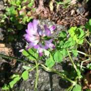 ヒメ日記 2025/05/21 12:08 投稿 むつみ 熟女家 堺東店