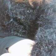 ヒメ日記 2025/11/14 10:47 投稿 むつみ 熟女家 堺東店